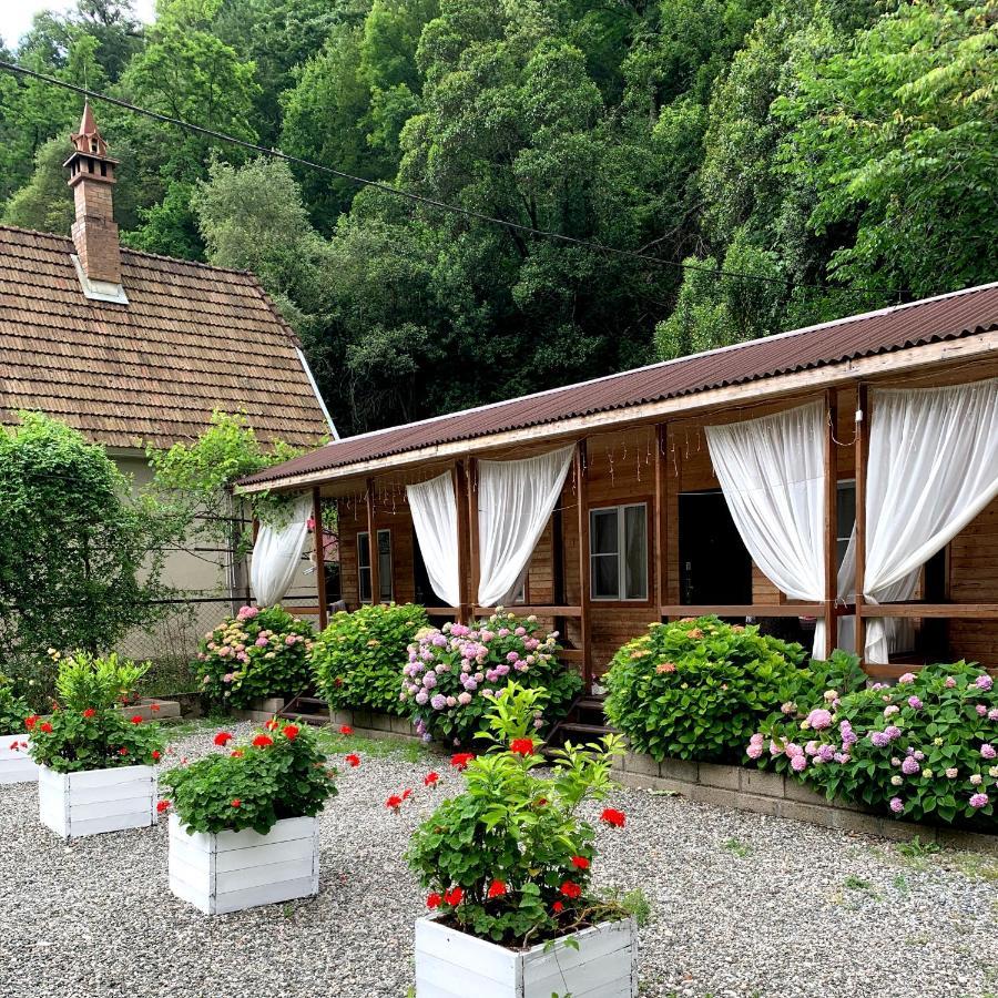 Guest House Ahan Gagra Eksteriør billede